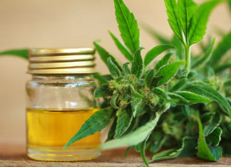 Jakie właściwości mają krople CBD? Jakie właściwości mają krople CBD?
