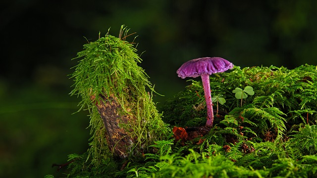 Jak zmyć farbę z paznokci? Jak zmyć farbę z paznokci?