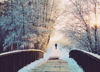 Co ile dni powinno się golić? Co ile dni powinno się golić?