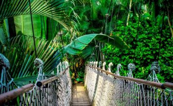 Czy warto zrobić kurs przedłużania rzęs?