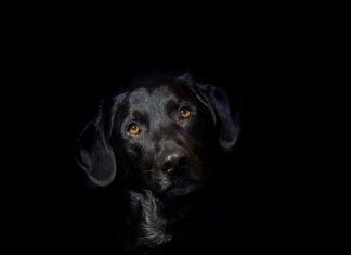 Ile kosztuje ściągnięcie hybrydy z paznokci? Ile kosztuje ściągnięcie hybrydy z paznokci?