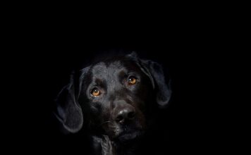 Ile kosztuje zrobienie hybrydy na paznokciach?