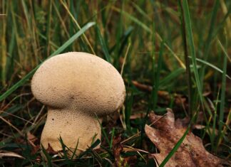 Ile worków na mocz?