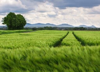 Jaki jest rozstaw kół wózka inwalidzkiego? Jaki jest rozstaw kół wózka inwalidzkiego?