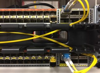 Czy po technikum można zostać weterynarzem? Czy po technikum można zostać weterynarzem?