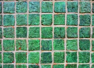 Co na ścianę do kabiny prysznicowej zamiast płytek?