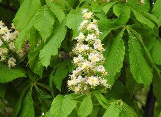 Ile procent z matury na weterynarię? Ile procent z matury na weterynarię?