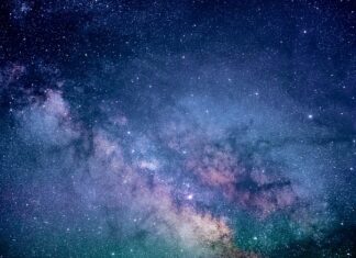 Ile kosztuje badanie krwi u weterynarza? Ile kosztuje badanie krwi u weterynarza?