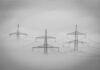 Gdzie kupić watę bawełniana?