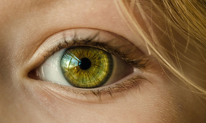eye-1132531_1280 Brwi